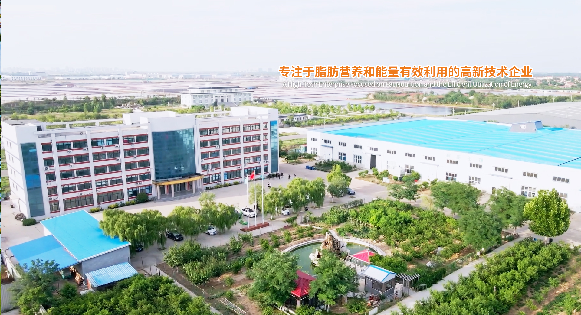 福瑪仕-17年專注辦公家具配套解決方案服務,中山辦公家具首選品牌